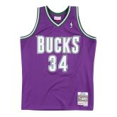 Mitchell & Ness NBA Milwaukee Bucks Ray Allen Swingman Jersey - Μωβ - Φανέλα