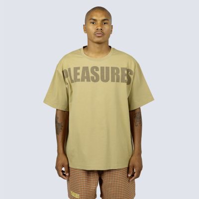 Pleasures Expand Heavyweight Shirt Brown - καφέ - Κοντομάνικο μπλουζάκι